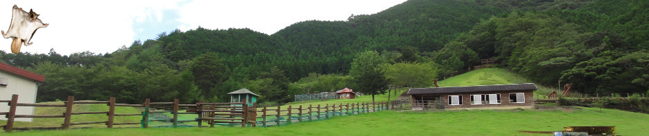 牧場