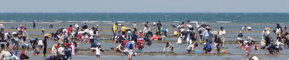 cropped-shiohigari1.jpg