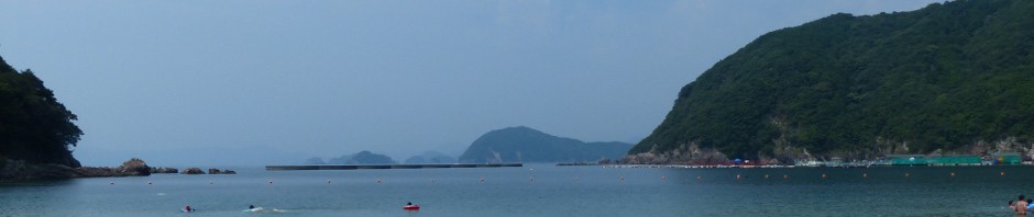 海