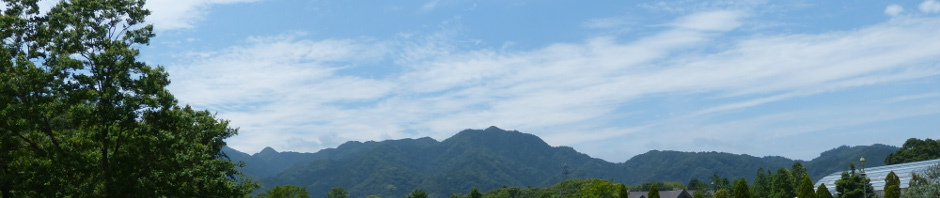 yamayama